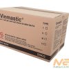 VINMASTIC